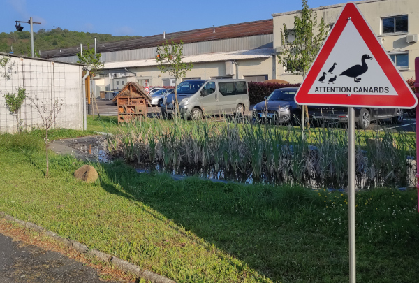 La mare naturelle de l'entreprise Charot © Sabine Mongeot